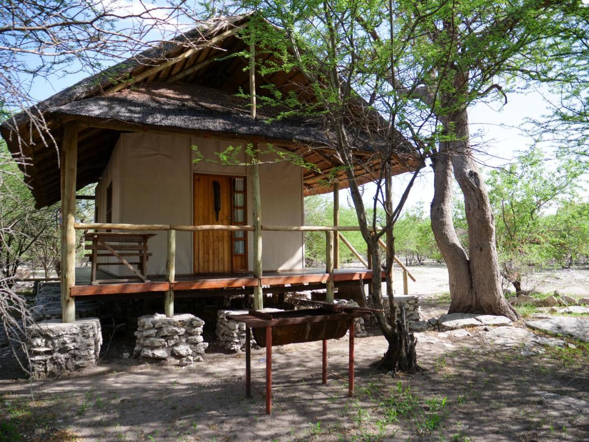 Thakadu Bush Camp Willa Ghanzi Zewnętrze zdjęcie